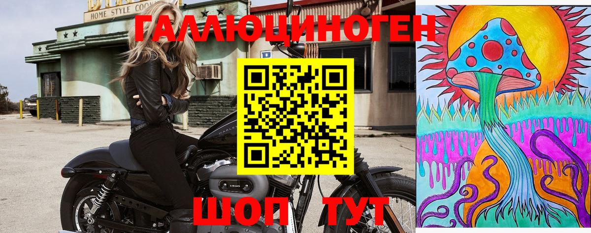 Урай  Псилоцибиновые грибы Psilocybine cubensis  Вход с VPN 